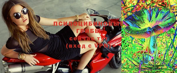 a pvp Богородицк