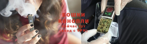 ПСИЛОЦИБИНОВЫЕ ГРИБЫ Богданович
