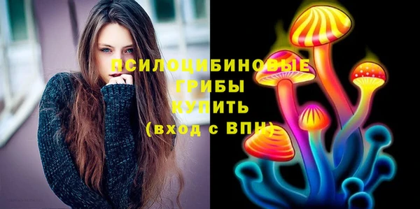 a pvp Богородицк