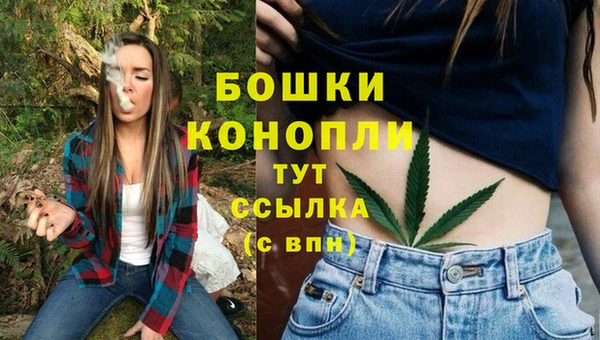 ПСИЛОЦИБИНОВЫЕ ГРИБЫ Богданович