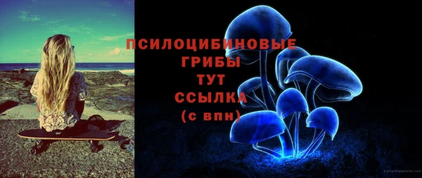 ПСИЛОЦИБИНОВЫЕ ГРИБЫ Богданович
