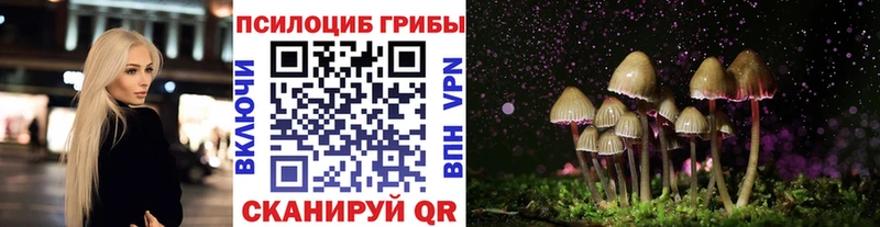 Псилоцибиновые грибы мухоморы  Купить где  Навашино 